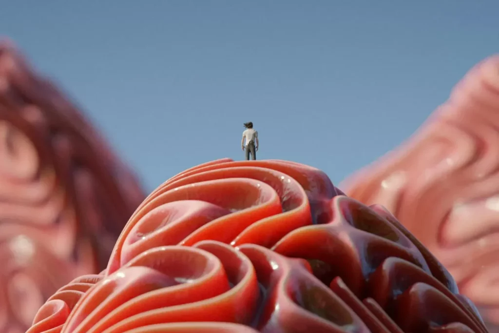 El efecta del alcohol a tu cerebro, su plasticidad y al entrenamiento cognitivo