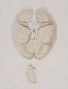 Qué es el neurofeedback, cuáles son sus beneficios y cómo afecta este tratamiento a nuestro cerebro